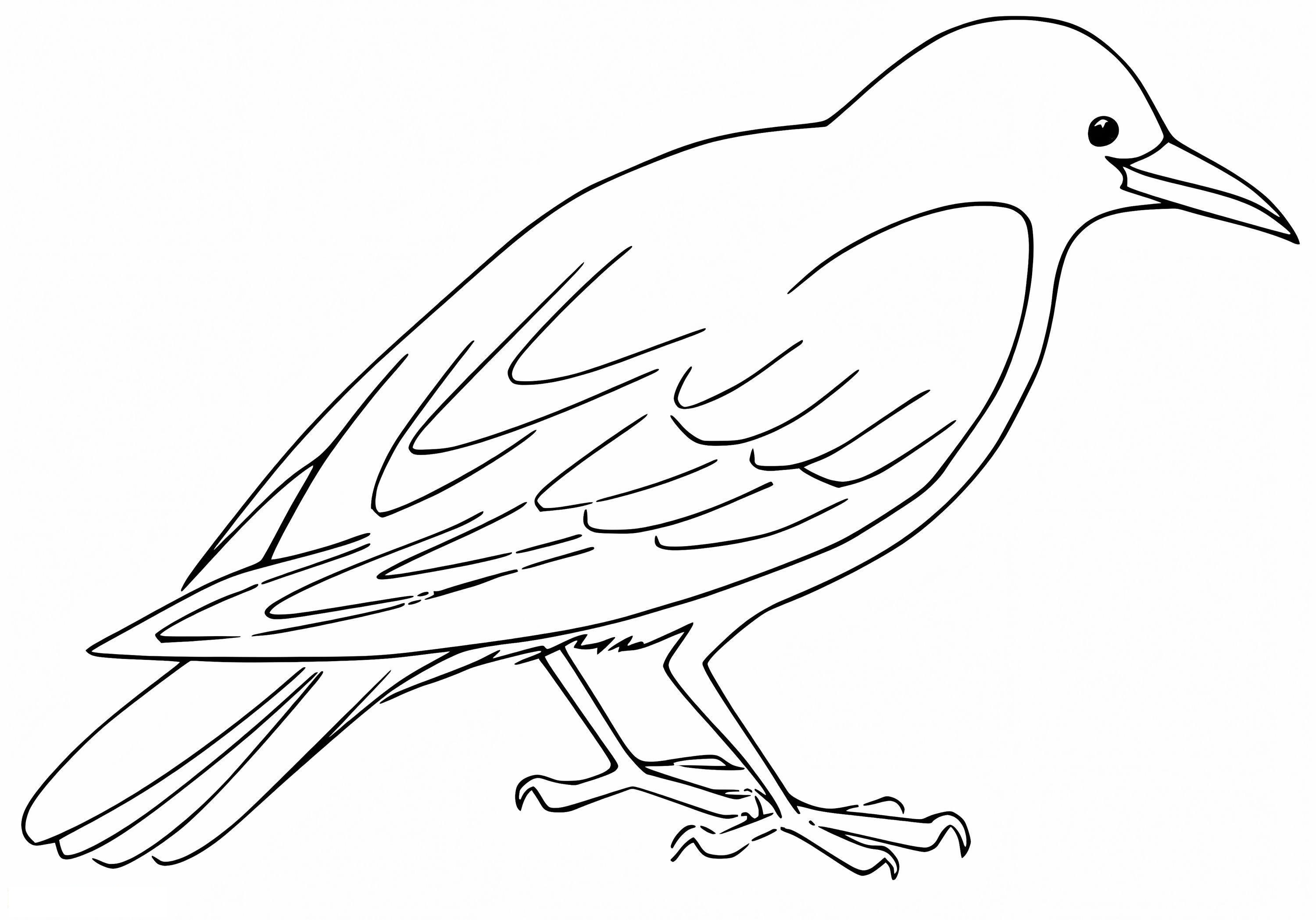 Raven 2