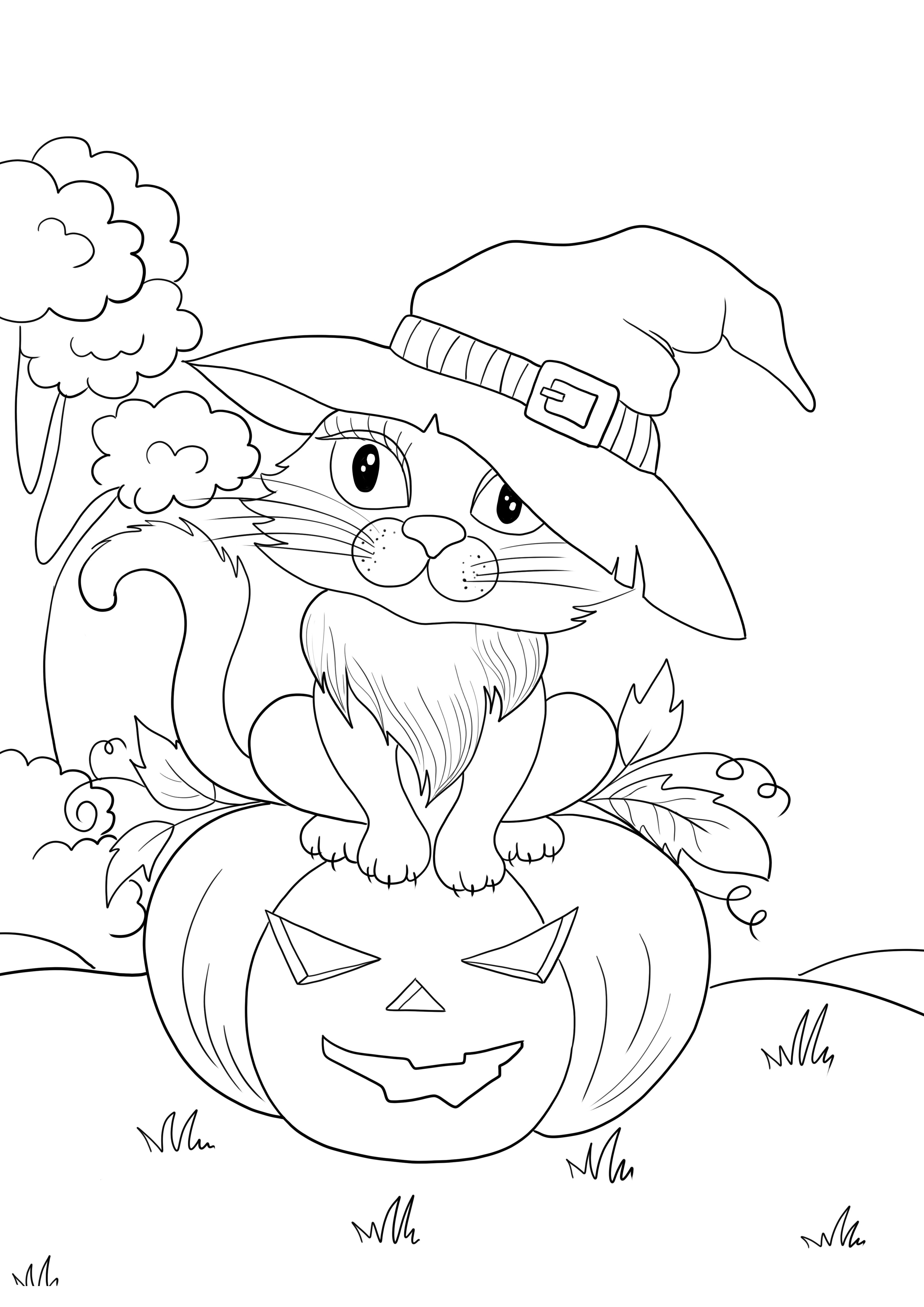 Halloween cat sitting over a pumpkin